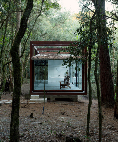 YVA arquitetura's serene cabin in brazilian forest perches with minimal environmental impact